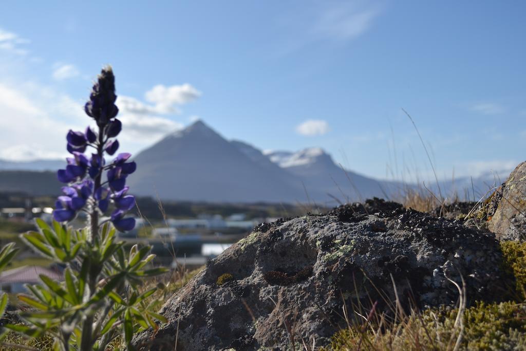 Framtid Hostel Djupivogur Luaran gambar